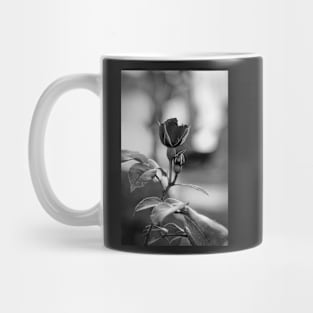 Flower in Italy Mug